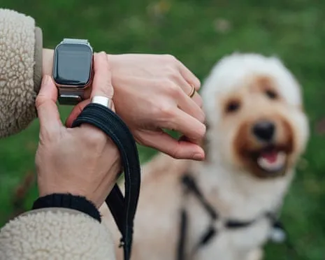 The Reality About Wearable Tech? Daily Existence Improves Devoid of a Bossy Gadget on Your Wristwear